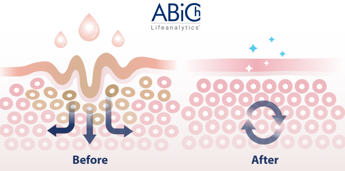 Percutaneous Absorption